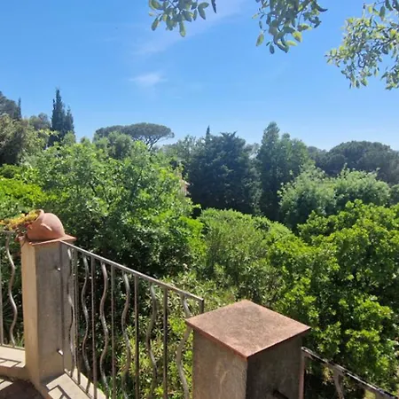 With Garden In Apartament *