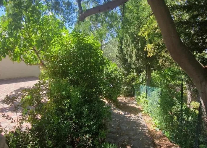 With Garden In Appartement *