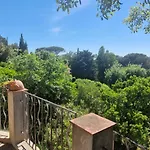 With Garden In Apartamento *