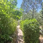 With Garden In Apartament *
