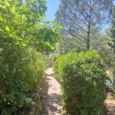 Apartment With Garden In