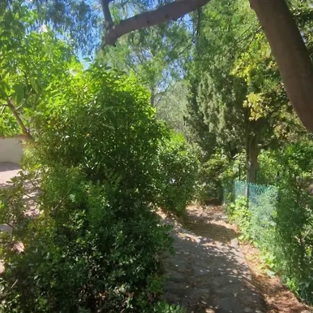 With Garden In Apartment *